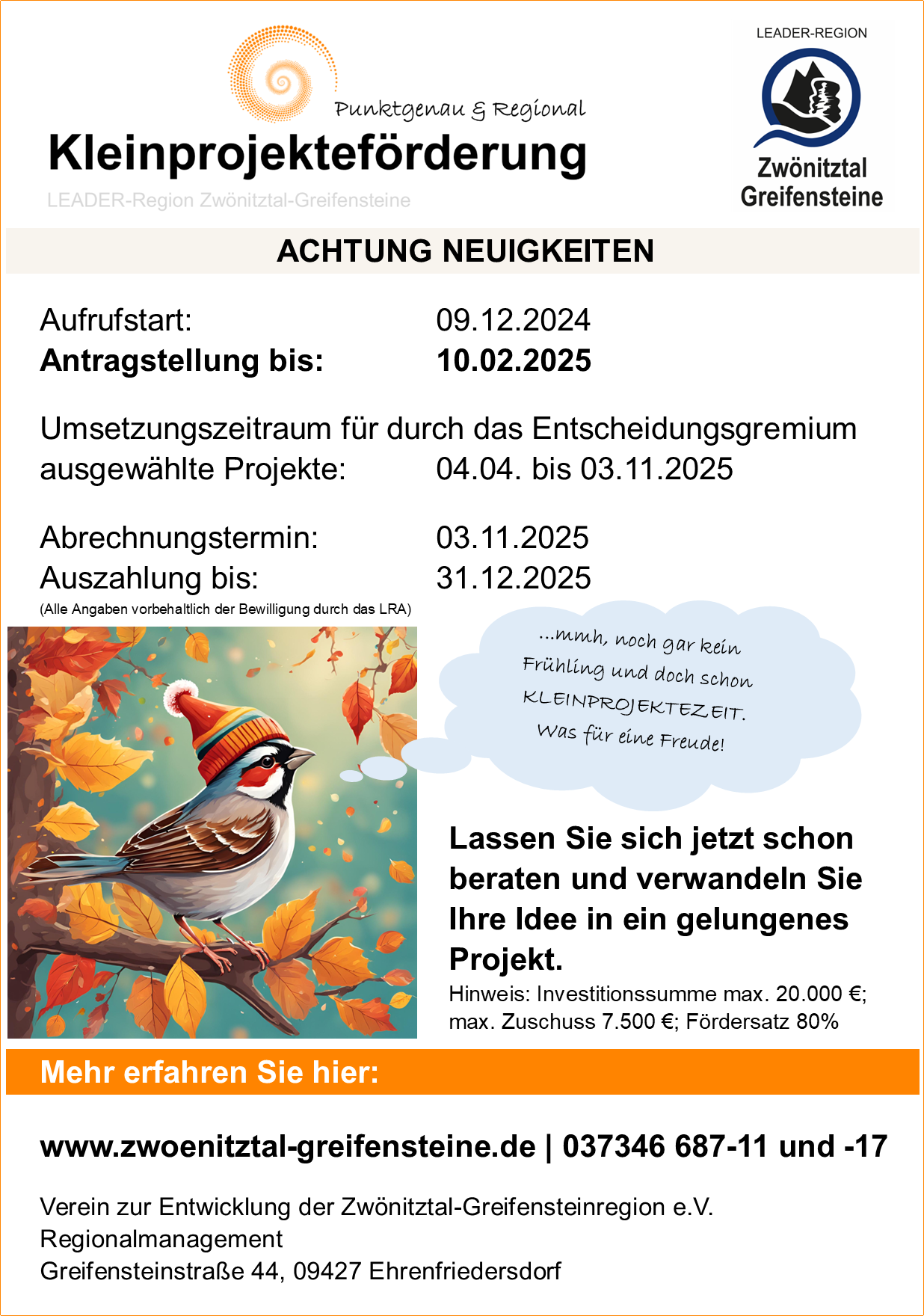 Der Flyer informiert über die Kleinprojekteförderung in der LEADER-Region Zwönitztal-Greifensteine für das Jahr 2025. Er kombiniert sachliche Informationen mit einem freundlichen, saisonalen Design.